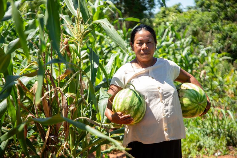 DE USO EXCLUSIVO PARA EL ESPECIAL. Miembros de la comunidad indígena Ka ́aty Miri San Francisco, ubicada en Caapibary, San Pedro, a unos 240 kilómetros de Asunción. Los integrantes logran salvar sus cultivos de yerba y plantaciones de variados productos para venta y autoconsumo, en medio del avance del monocultivo de soja, el uso de venenos dañinos y la cruda sequía que afecta a la zona.