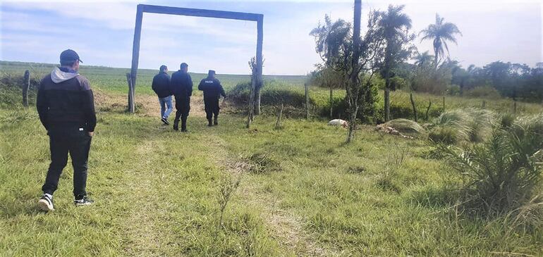 Un total de 12 animales fueron hurtados y otros 3 fueron faenados en diferentes distritos de Paraguarí.
