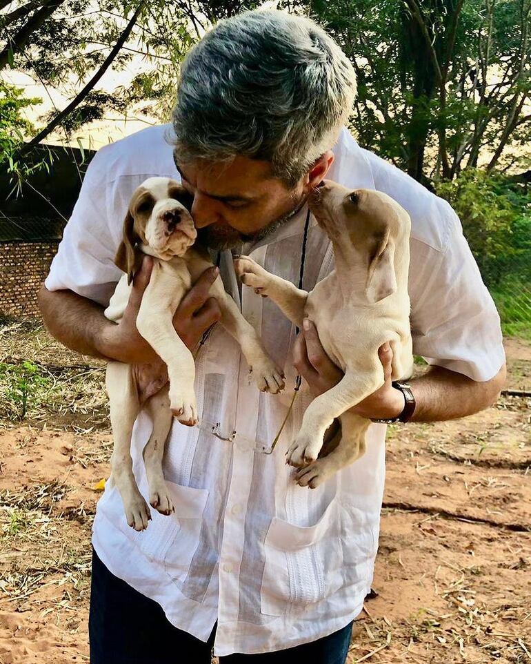 Tras cinco semanas de silencio, Mario Abdo Benítez posteó hoy esta fotografía abrazando a dos cachorros, en su cuenta de Instagram.