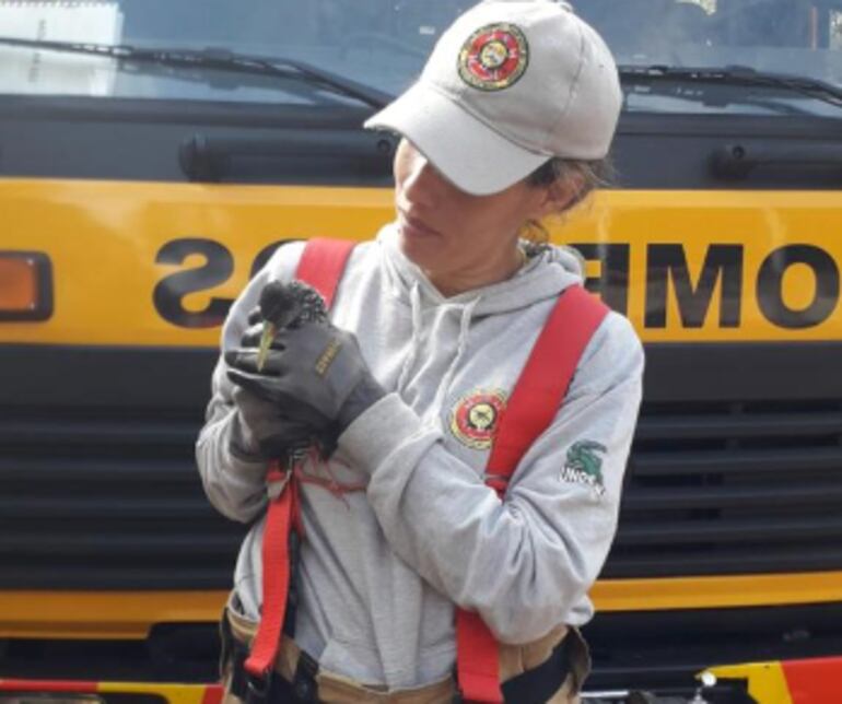 Ave rescatada se encuentra en resguardo en la estación de Bomberos.