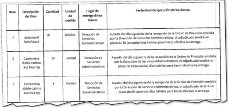 Detalle de los rodados que prevé comprar la Municipalidad de Asunción, según  el Pliego de Bases y Condiciones (PBC).