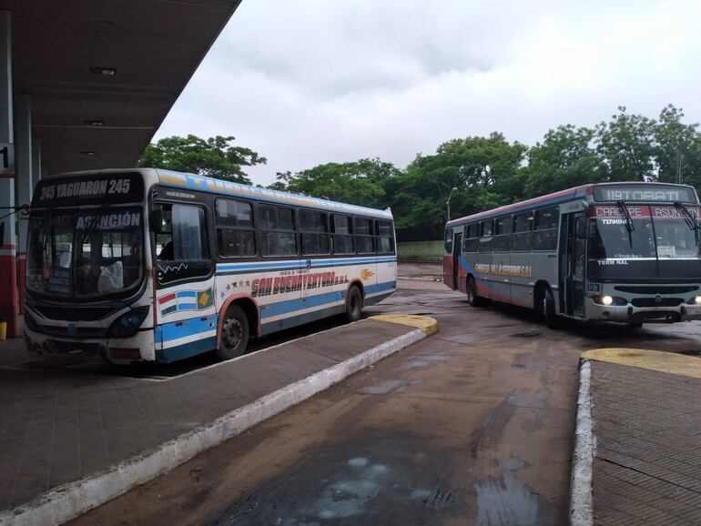 Colectivos listos para salir, en la Estación de Buses de Asunción, en la víspera de las festividades de Caacupé.