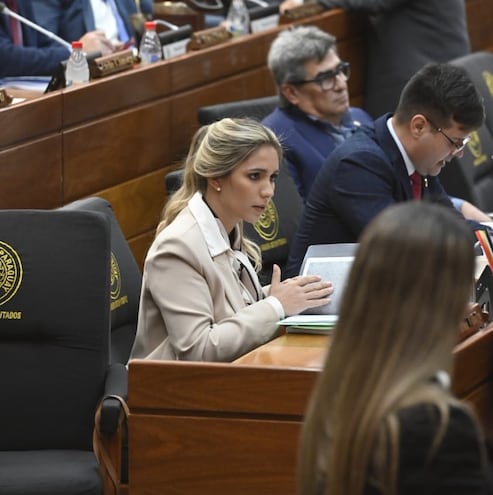 La esposa de Pedro Alliana, Fabiana Souto de Alliana, ya prestó juramento y asumió su banca en la Cámara de Diputados.