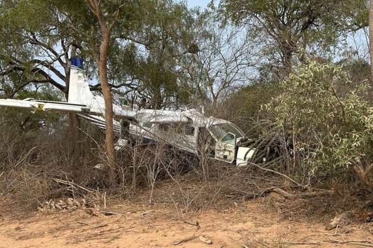 La aeronave terminó entre unos árboles y plantas.