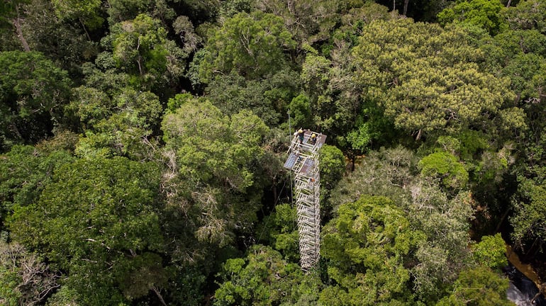 Fotografía del Ministerio de Ciencia, Tecnología e Innovación de Brasil de una gigantesca estructura a cielo abierto que ayudará a descubrir con antelación cómo será el futuro del bioma con los cambios climáticos.