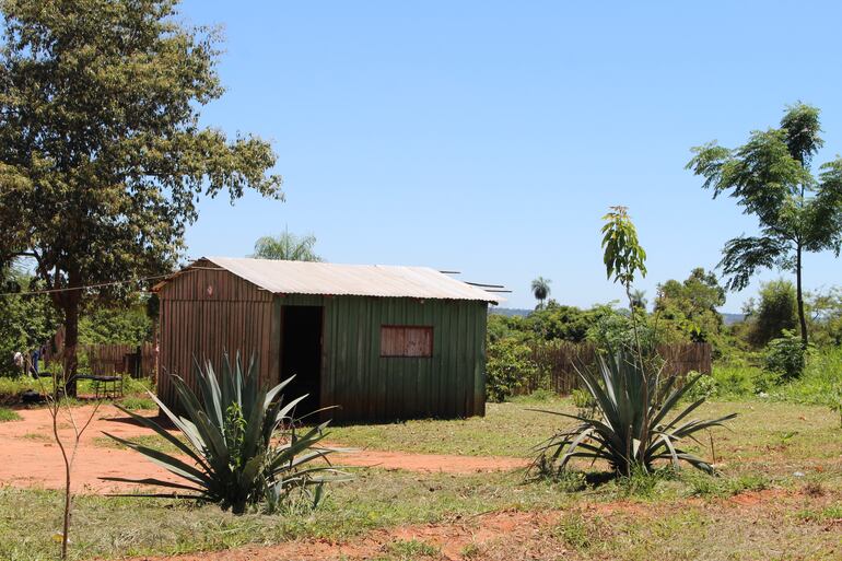 DE USO EXCLUSIVO PARA EL ESPECIAL. Miembros de la comunidad indígena Ka ́aty Miri San Francisco, ubicada en Caapibary, San Pedro, a unos 240 kilómetros de Asunción. Los integrantes logran salvar sus cultivos de yerba y plantaciones de variados productos para venta y autoconsumo, en medio del avance del monocultivo de soja, el uso de venenos dañinos y la cruda sequía que afecta a la zona.