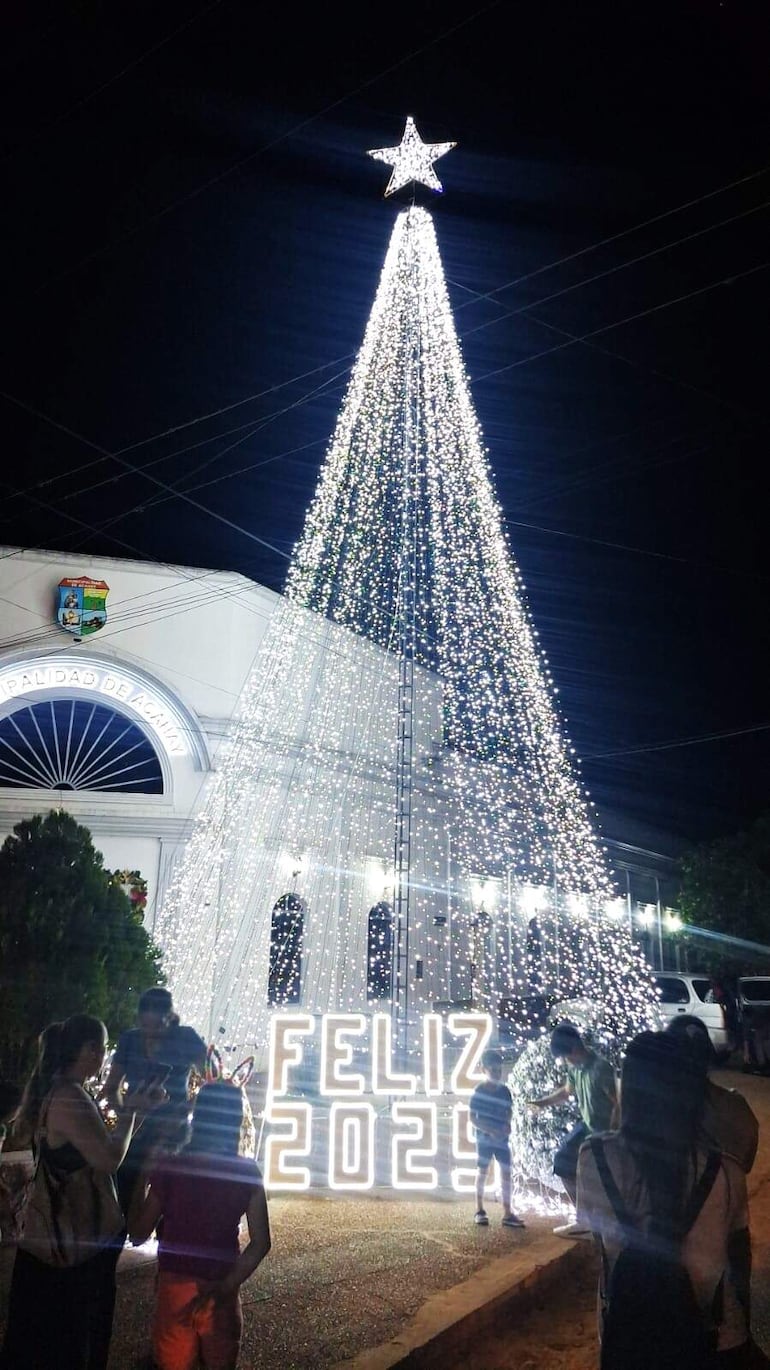 Un árbol de 14 metros luce espléndido frente al edificio de la Municipalidad de Acahay.