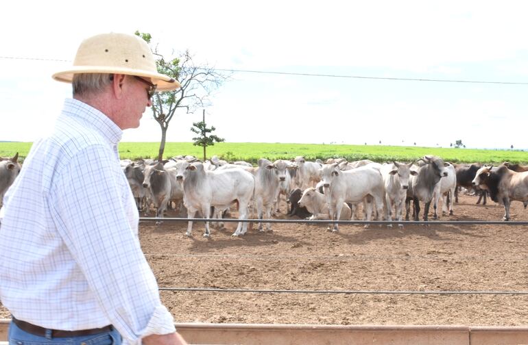 El titular de la ARP, Dr. Pedro Galli, observa parte de su hato bovino.