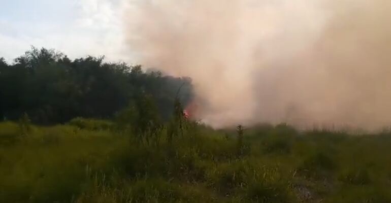 Incendio forestal en la ciudad de Nueva Italia.