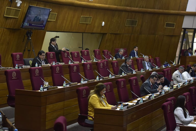 En la sesión está convocado el pleno de los senadores, y hay 30 oradores anotados, por lo que la jornada legislativa apunta a ser muy extensa.