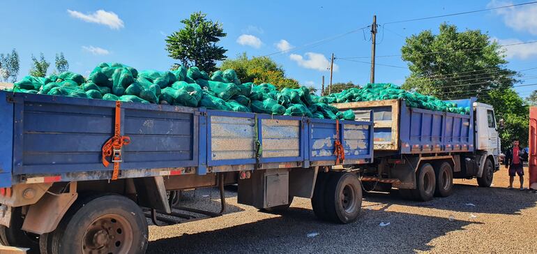 Un cargamento de 800 bolsas de zapallos también fueron decomisados.