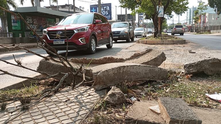 El paseo central de la Avda. Mcal. López se encuentra en pedazos.