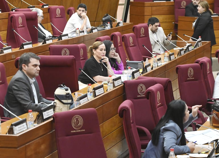 La Comisión Bicameral de Presupuesto del Congreso cerró ayer la etapa de audiencia informativa y desde la próxima semana elaborará el dictamen sobre el PGN 2024.