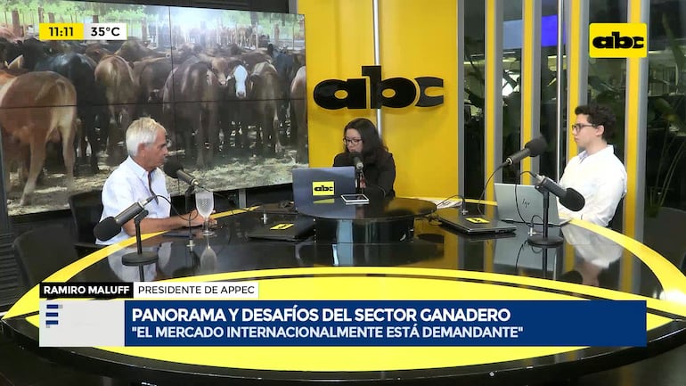 Desafíos del sector ganadero paraguayo: caída del rebaño y la necesidad de mercados “más valiosos”