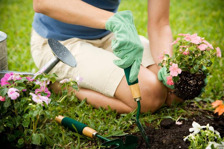 jardinería