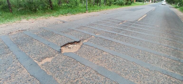 bache en el asfalto