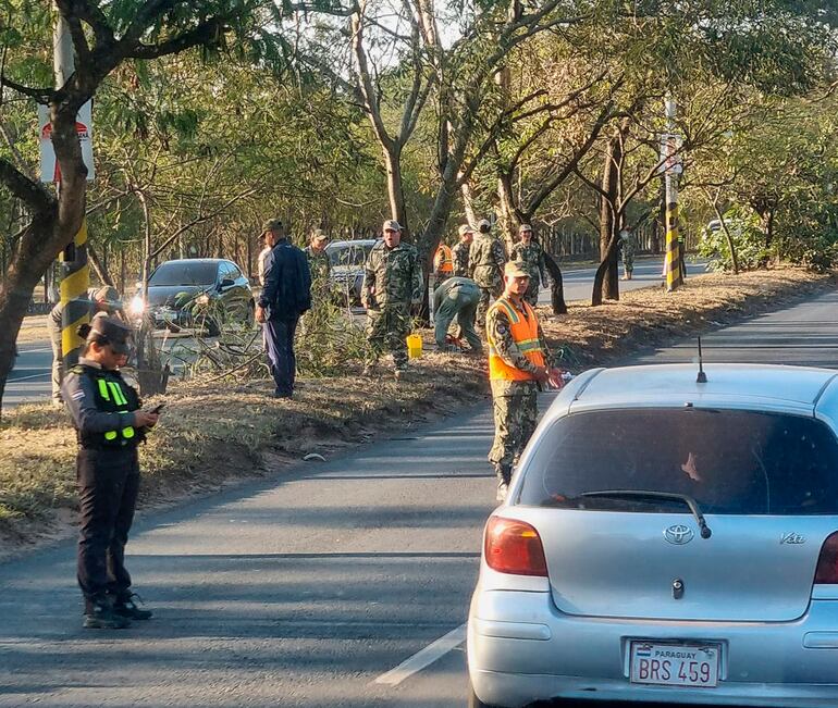 Foto del miércoles pasado cuando militares realizaban la tala.