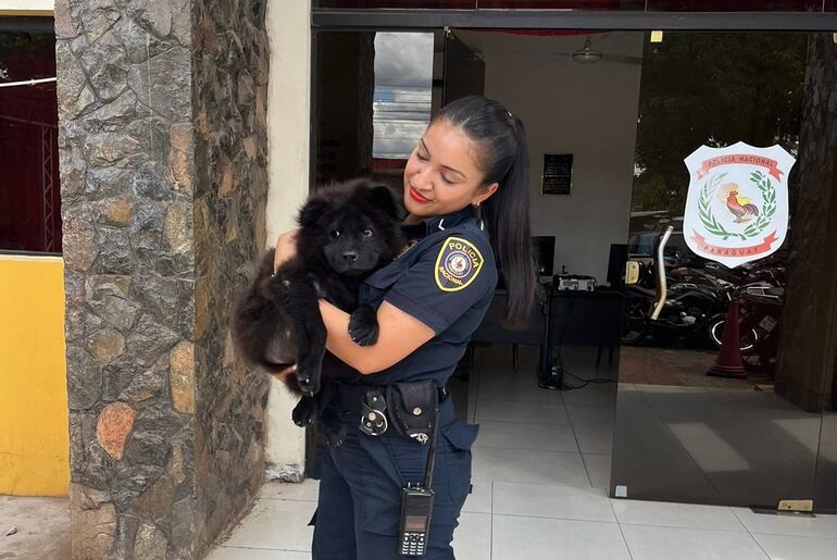 La Policía logró recuperar este perro robado en Capiatá.