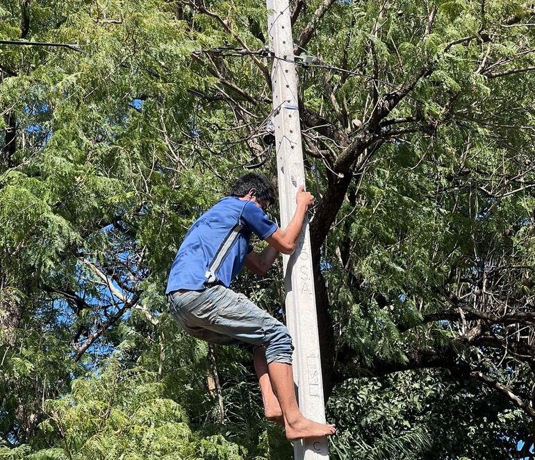 Un hombre fue detenido en el momento en que trepo una columna para robar cables de Copaco.