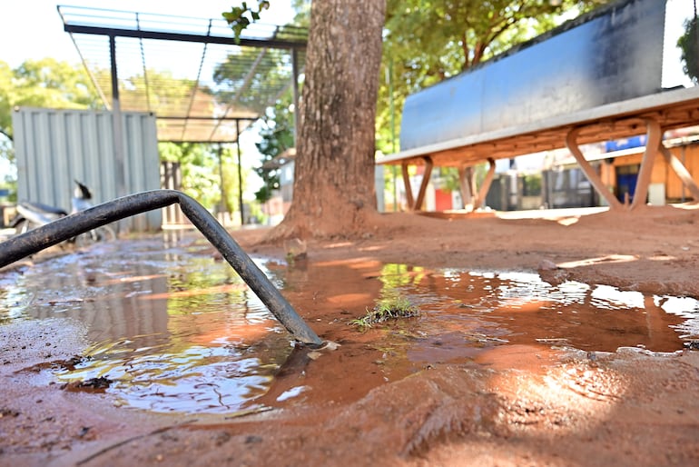 El caño roto derrocha litros de preciada agua potable y embarra un importante sector del Paseo Quinta Avenida.