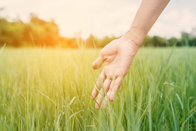 El contacto con la naturaleza produce sosiego. Foto: jcomp/Freepik.