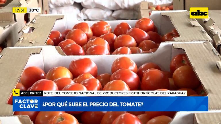 Con el levantamiento del permiso Afidis para importación, el precio del tomate nuevamente empezó a repuntar en el mercado local