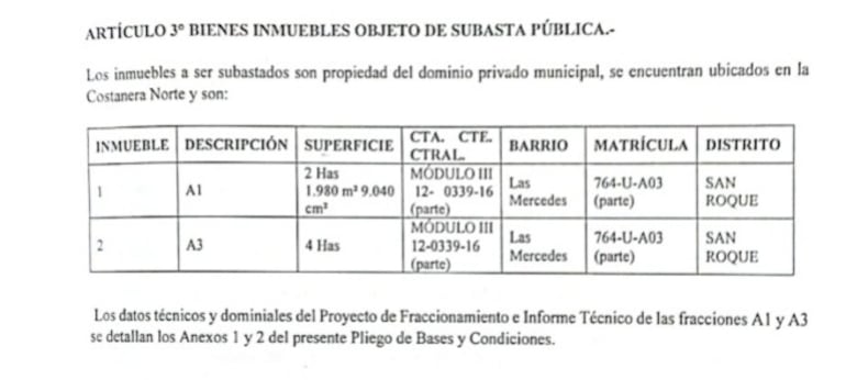 Detalles de los lotes A1 y A3, en intención de subasta por parte del intendente Óscar "Nenecho" Rodríguez.