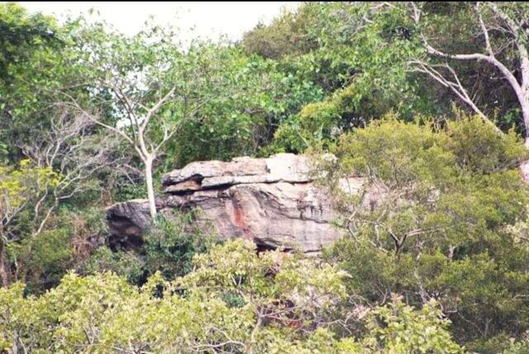 Cerro Bogarín de Carapeguá, declarado área Silvestre Protegida, se puede conocer y disfrutar de su naturaleza.