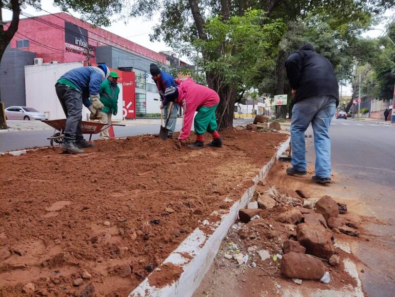 Funcionarios municipales trabajan en le paseo central de la avenida Bruno Guggiari.