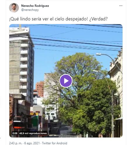 "Nenecho" propone una ciudad capital libre de cables, pero es duramente cuestionado en redes.