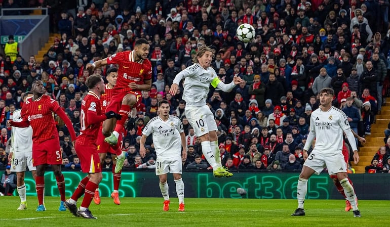 El golazo de Cody Gakpo anotó con golpe de cabeza para el segundo gol del Liverpool ante el Real Madrid.