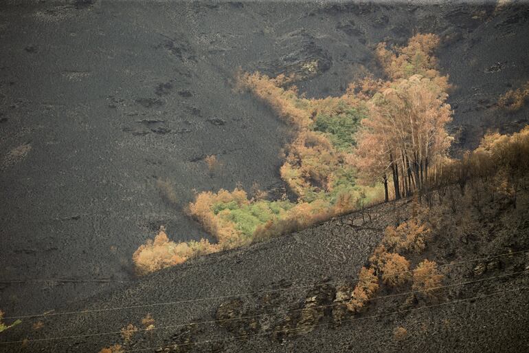 Hasta ahora se pensaba que estos rayos que impactan contra el suelo cuando llueve poco o nada sólo suponían un peligro de incendio forestal si se producían con menos de 2,5 mm de lluvia al día.