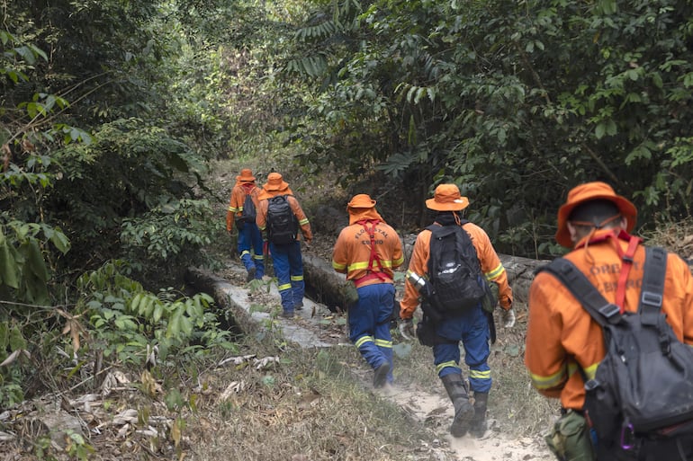 Bomberos trabajan apagando incendios en varias áreas quemadas del Parque Estatal Guajará Mirim el pasado jueves en la ciudad de Nova Mamoré (Brasil). El parque natural de Guajará-Mirim, uno de los puntos más calientes de la ola de incendios que vive Brasil, tiene ya un tercio de su territorio quemado ante la desesperación de un puñado de bomberos que no da abasto. 