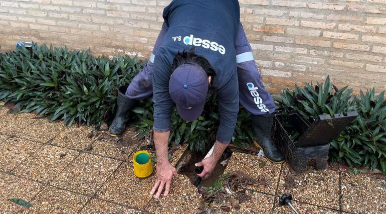 Imagen ilustrativa: un funcionario de Essap trabajando por una pérdida de agua.