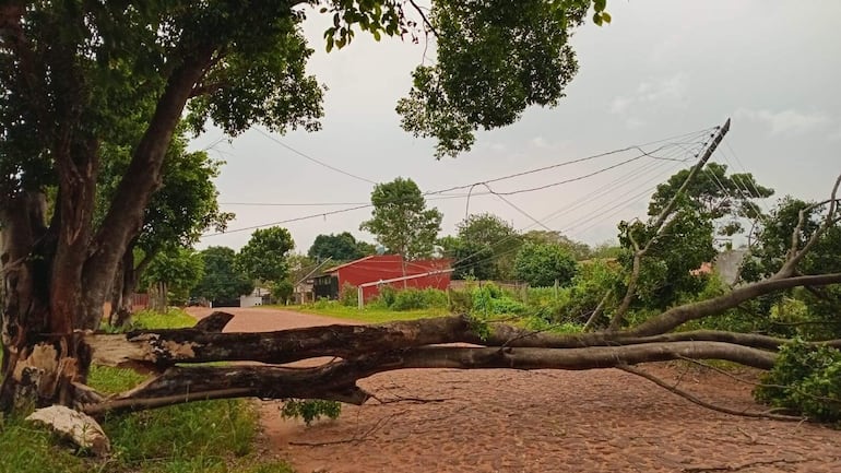 Caída de árbol y columnas de la ANDE dejan sin energía eléctrica al barrio San Vicente de Carapeguá.