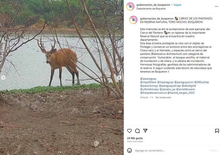 Publicación de la cuenta de Instagram de la Gobernación de Boquerón.