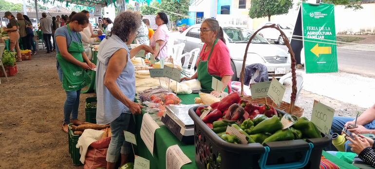 Realizan feria de la agricultura familiar en San Ignacio, Misiones.