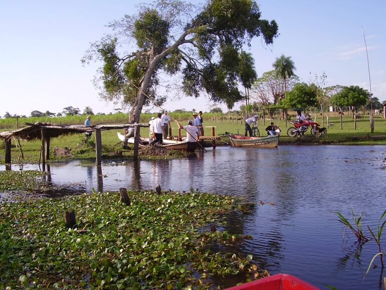 El Mocito Isla de Carapeguá.