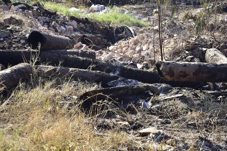 Restos de árboles quemados por el incendio de la reserva del Banco San Miguel.