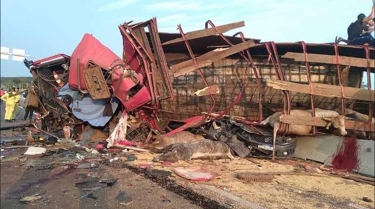 Fatal accidente de Pedrozo, Cordillera.