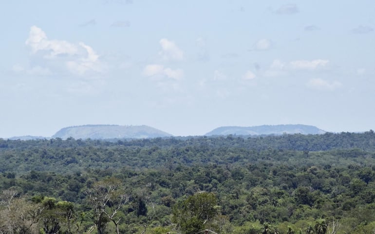 Reserva San Rafael, una de las áreas silvestres protegidas que tiene actualmente dos focos de calor.