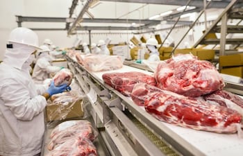 Se espera un  crecimiento de la producción mundial de la carne de unas 382 millones de toneladas  para el año 2032,  refieren organismos internacionales.