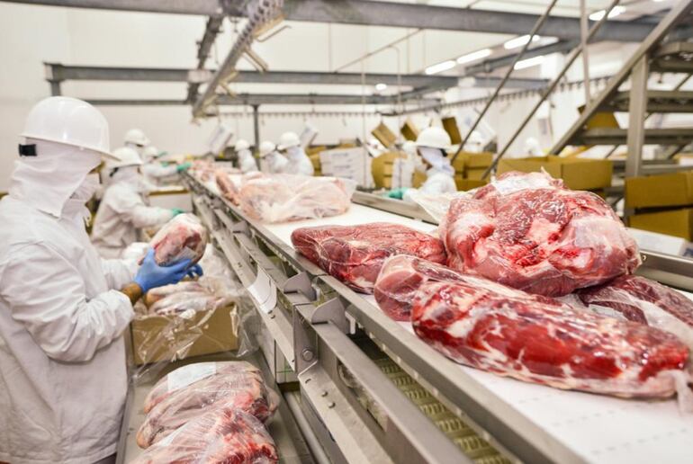 Se espera un  crecimiento de la producción mundial de la carne de unas 382 millones de toneladas  para el año 2032,  refieren organismos internacionales.