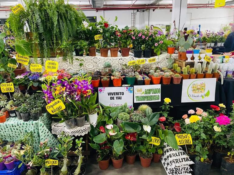 Plantas y flores de productores locales en la Expo Flora de ABC Color.