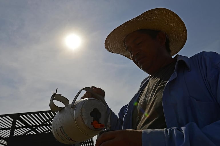 Imagen ilustrativa: el tereré acompaña miles durante los días de intenso calor.