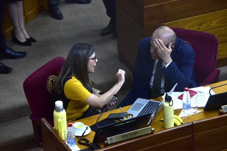 Sesión de la Cámara de Senadores.