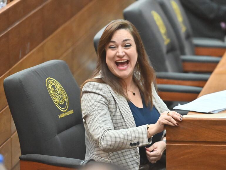 diputada rocío abed