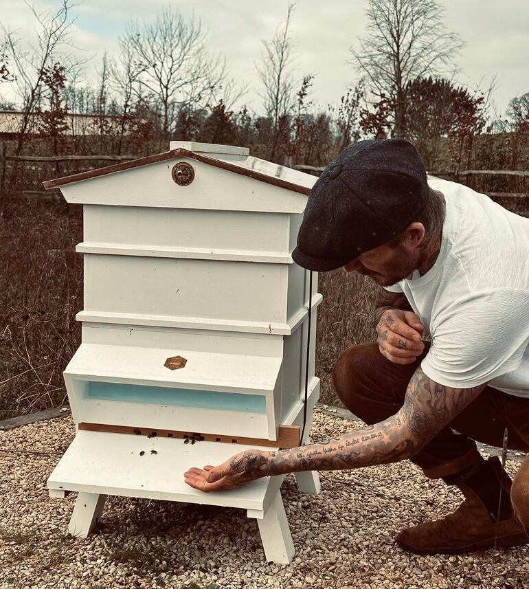 David Beckham trabajando como apicultor en su casa de campo ubicada en Cotswols, sudoeste de Inglaterra. 
(Instagram/David Beckham)