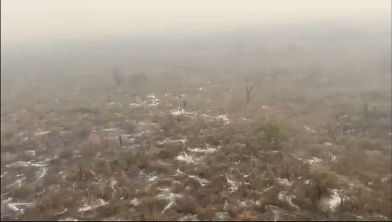 Desolador panorama dejan los incendios en el Chaco Paraguayo.