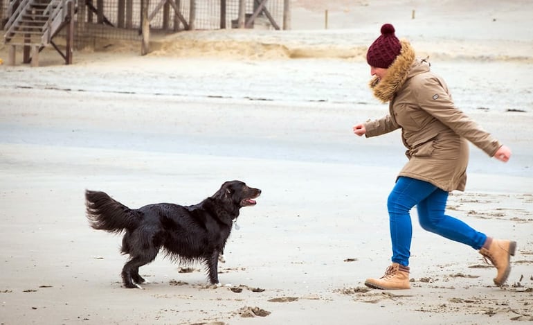 Los perros que viven en departamentos o casas deben ser paseados diariamente. Pese al frío, no dejes de jugar al aire libre con tu mascota, ya que ellos usan su propio pelaje de abrigo, y necesitan salir a ejercitarse para evitar el estrés. Foto: Pixabay.
